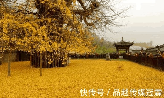 寺院|日赚百万都不要, 这座寺庙到底什么来头