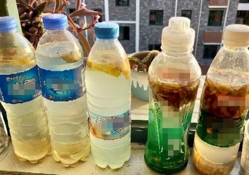 别再将经济又实用的养花宝贝“香蕉皮”当垃圾扔了