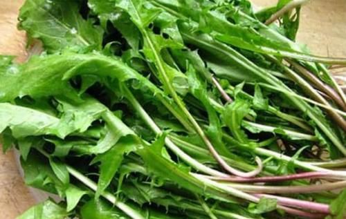 甲状腺结节|甲状腺的“知音”找到了,不是西红柿,没事常吃,或有助结节消散