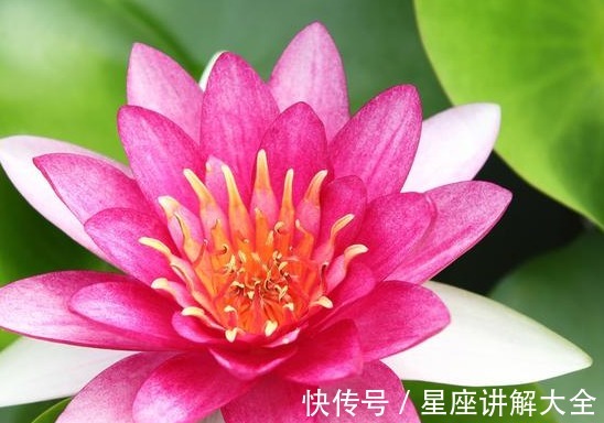 生肖鼠|到了8月底，4属相吉星关照，桃花朵朵开，日子越来越开心