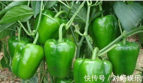 排毒|会吃的人最健康,3种食物离不开,排毒养颜、提高免疫力!