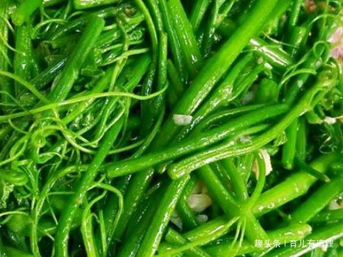 简单一炒就上桌，不需要过多的调料，口感脆嫩，特别好吃下饭