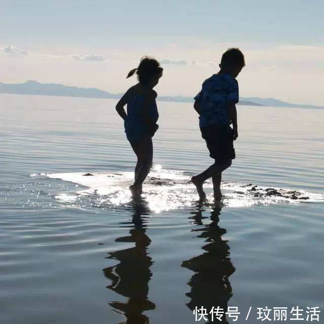 赡养|哥哥吃独食，弟弟讨食的举动萌化了，网友：混口吃的不容易啊