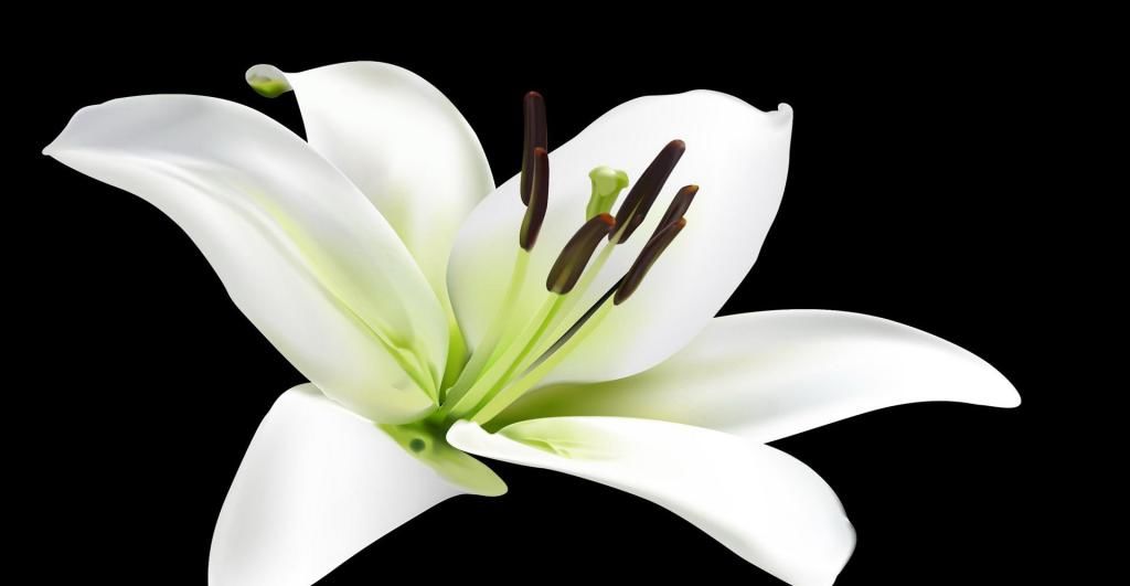 养肝就是养命！平时敞开吃6物，养肝排毒、肝脏或越来越健康