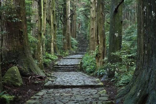 日本的修行之路，被称为“心灵圣地”，还是一处世界遗产