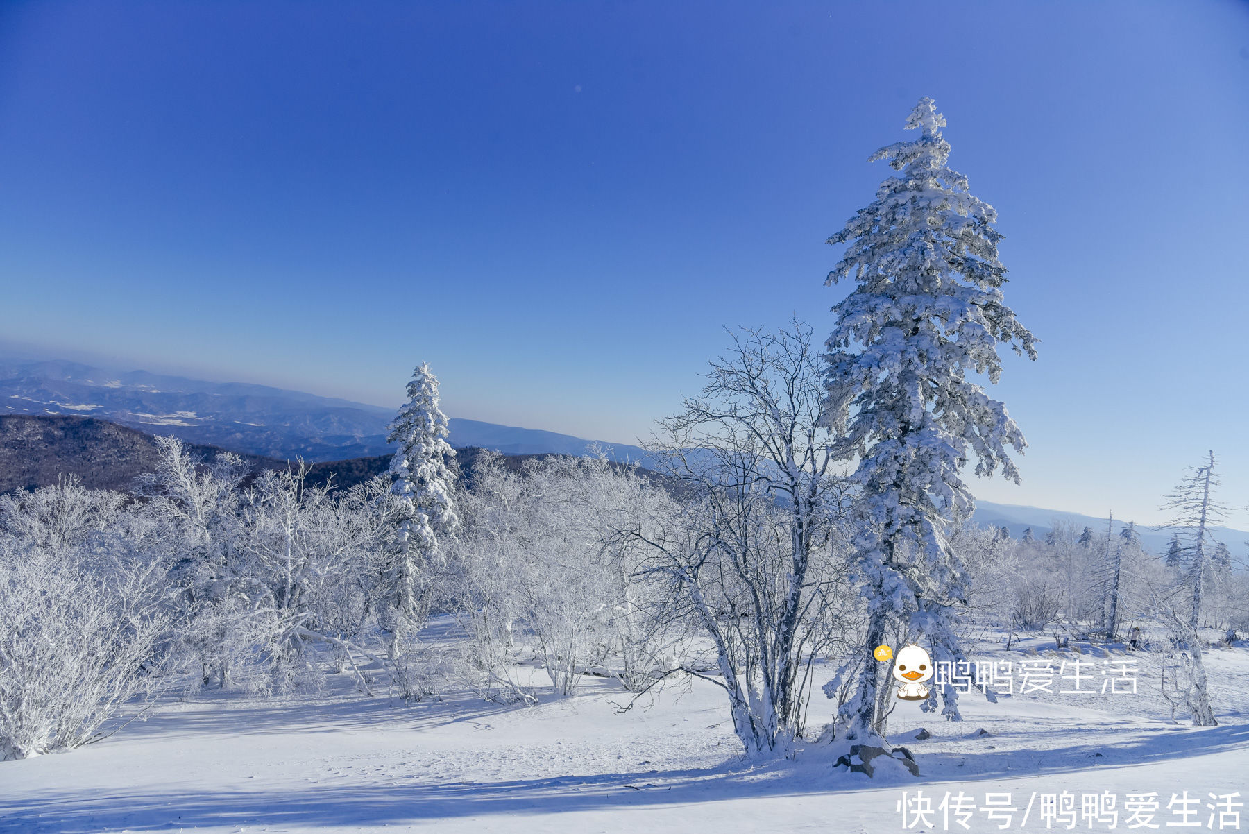 风车|雪山上风车像童话世界，冰凌谷徒步穿越，自由行游客却容易错过