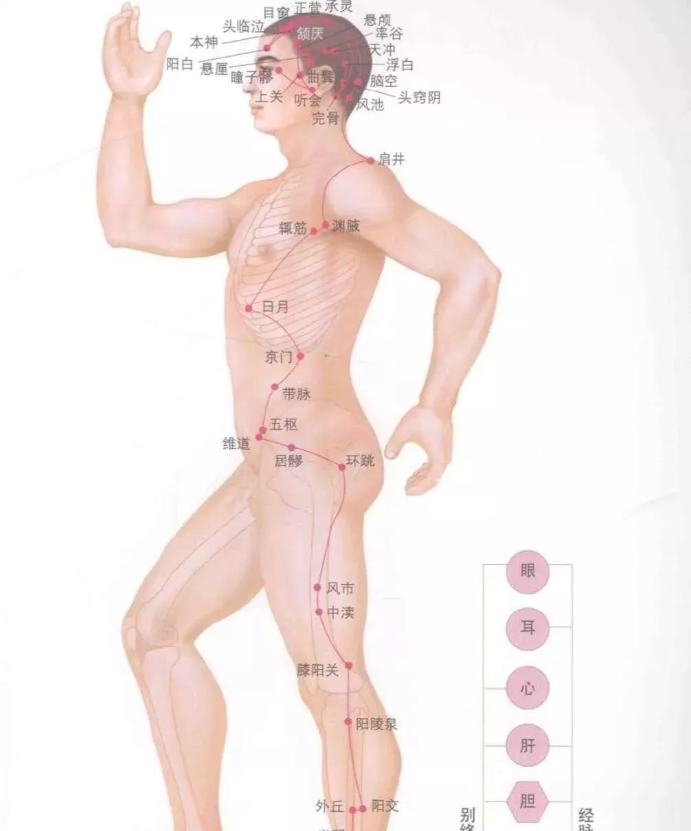 拇指|筋柔百病消!学会这招拉筋术70岁像50岁的人,益寿延年、百病不沾