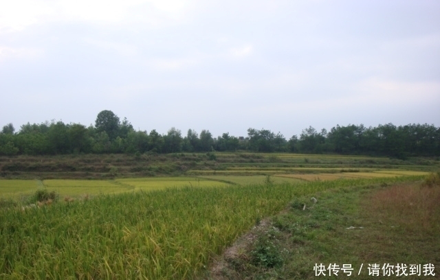 形峦堪舆知识,五星峰具体特征分析