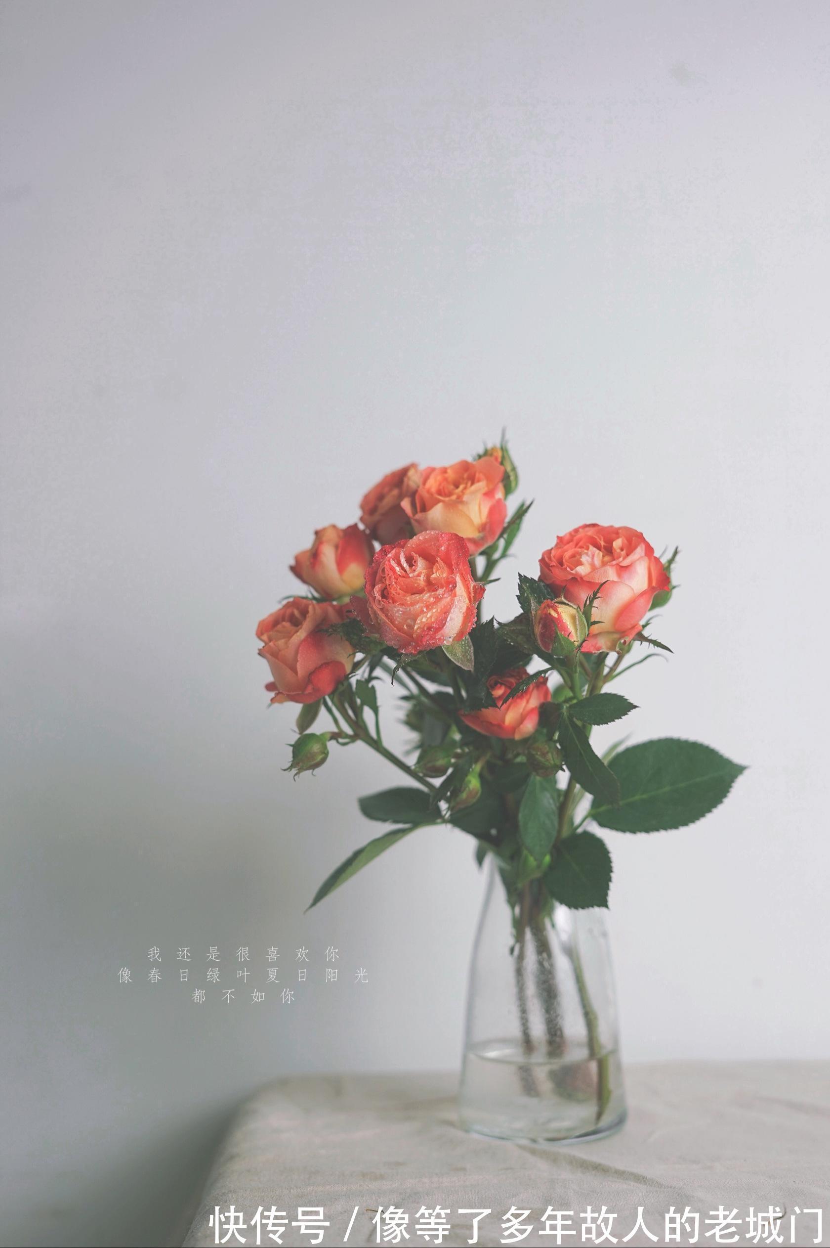 钙质|最佳补钙的时间是什么时候把握好晚上临睡前,会事半功倍哦!