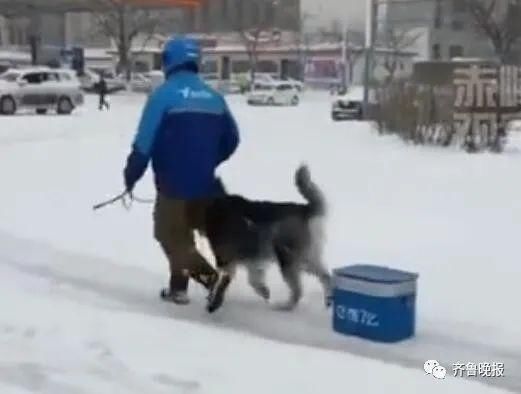 干净|铁锅炖雪、雪洗貂皮大衣，南方人永远无法理解雪对北方人的意义