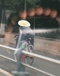 |搞笑GIF:去国外旅游,打了一个三轮车,居然带我上天了