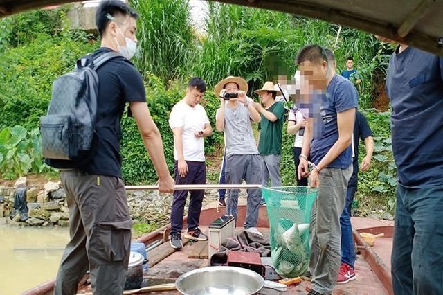 电鱼6斤罚款20000元，鱼苗放了二百斤，钓友真是大快人心