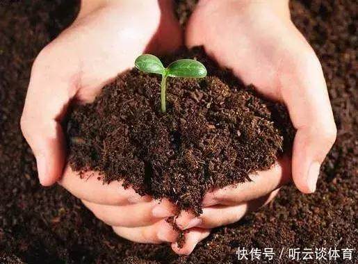 土壤|只要1样东西,保你的花从不烂根、黄叶,长得还比别人快10倍!