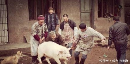  穆斯林为什么不吃猪肉? 原来是在中东形成的