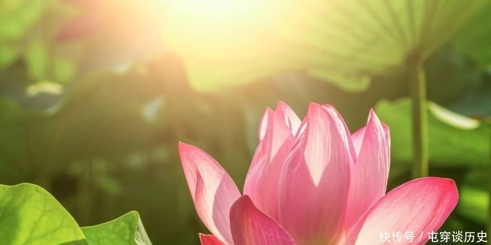 《荐读》100个一看就会一读就错的字,不信你念念