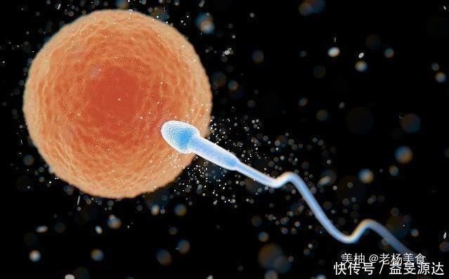 排卵前几天乳房会胀痛 排卵前几天乳房会胀痛
