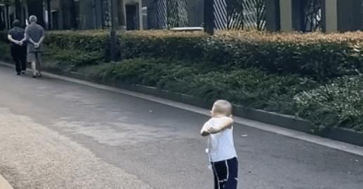 lulu|“老干部宝宝”出门溜达，背着手屁颠屁颠跟在后面，模仿到了精髓