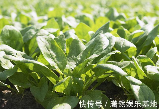 高钾食物|高血压就怕缺钾，若长期服用降压药，平时要多吃3种“高钾食物”