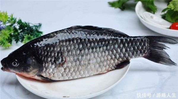 大厨这样炖“鲫鱼汤”,又香又白没腥味,原来炖前多做了“2步”!