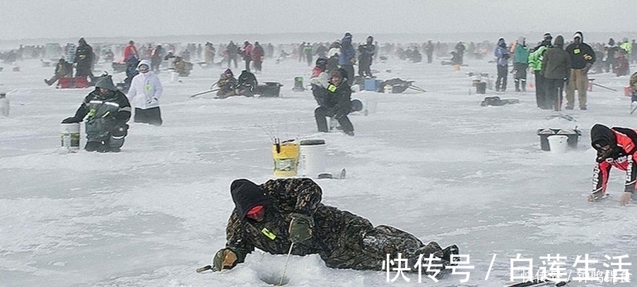 冬天|冬天钓鱼，饵料种类其实并不多，这几种就足够了