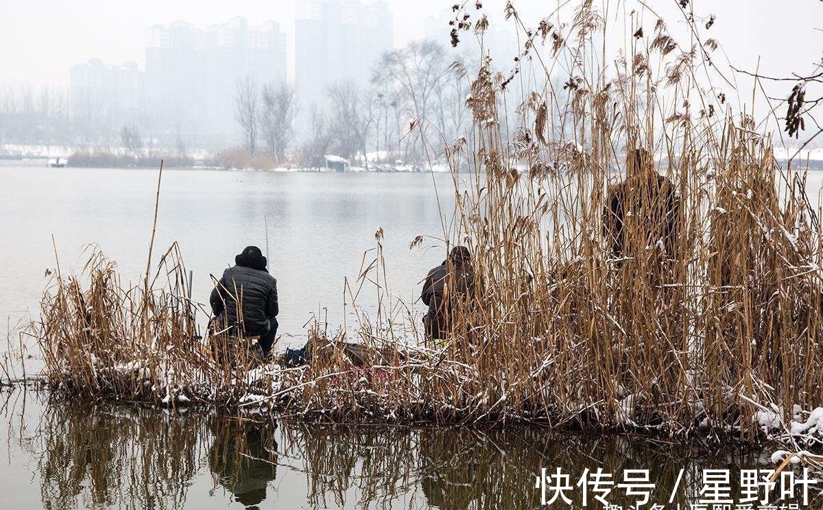 冬钓哪种饵料效果好?别再纠结了,老钓手教你正确选择饵料