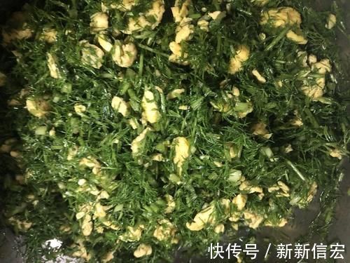 冬天了,用这菜包饺子,鲜嫩入味营养高,比肉饺子还香!