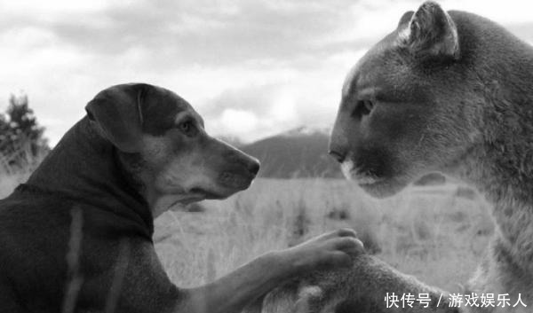 韩德让|看完了《燕云台》,你可能还不知道的4件事,比如萧太后为何姓萧!