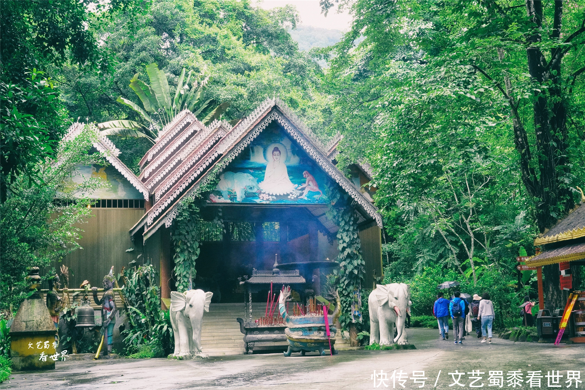 中年|在瑞丽莫里河谷中藏着神奇的莫里瀑布，值得为它来一场丛林探险