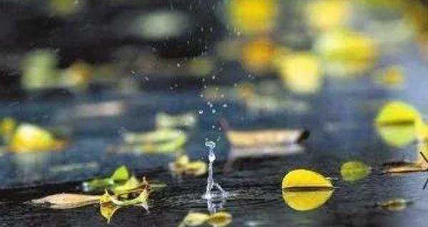 秋雨!宋词里的“一场秋雨”,淅淅沥沥已下了千年,湿了岁月也湿了眼眶