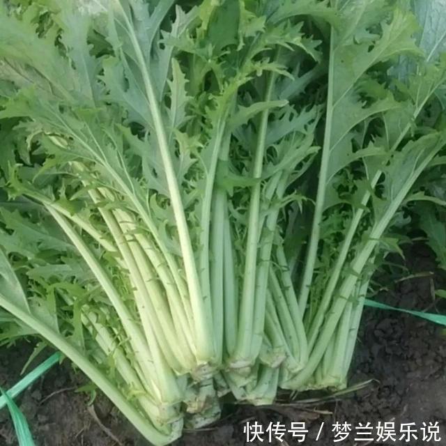 冬补|冬补三九,建议老年人多吃6种蔬菜,钾含量高,有助于增强体质