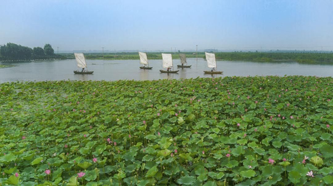 南阳古镇|济宁一地有北方最大的淡水湖，京杭大运河穿行而过，有望撤县改市
