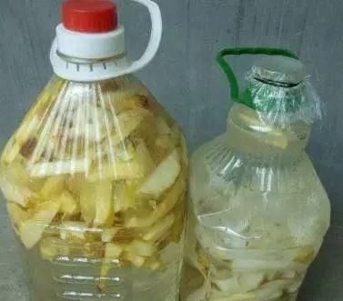 家里养多肉,给它喂3种“促长水”,根系长得壮,侧芽抽不停!