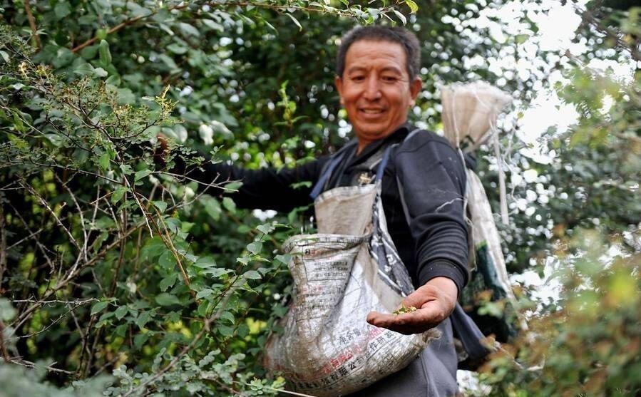 三高|患上“三高”的人，常吃“这道菜”，降压降脂又降糖，请收好！