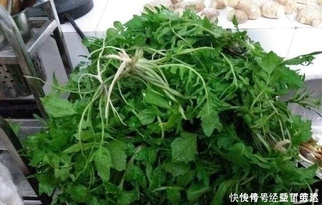 好吃|用它包饺子馅你肯定没吃过，比肉馅好吃，常吃提神醒脑！