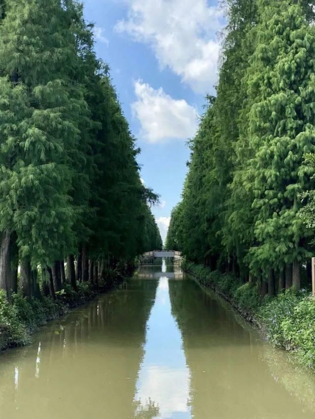 禾田|禾田摇曳、水果飘香……贤鲁岛周边新玩法，绝佳骑行路线来了