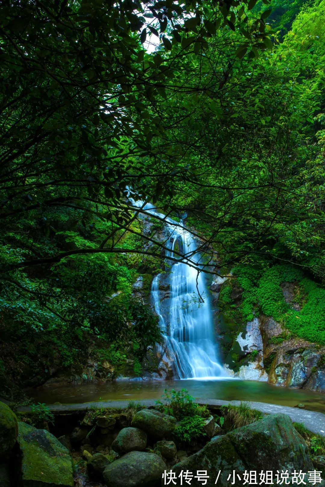 醉氧|中秋打卡｜出发舜皇山！开启一场“醉氧”之旅