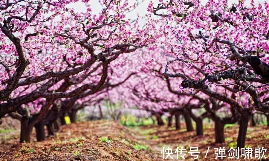 精品$刘禹锡10大名诗排行榜,《乌衣巷》未进前三,前三都是哪些精品?