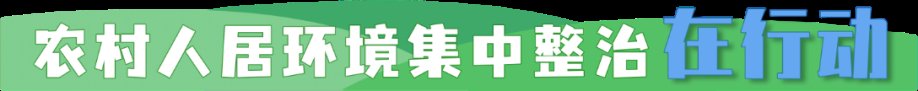 传统文化&100件！白送的！