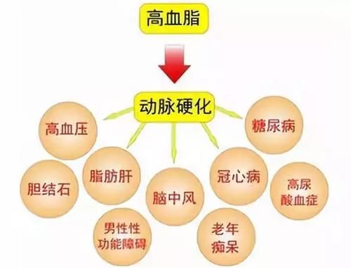 血脂|高血脂的“源头”是什么?或是“一酸”,建议:平时少吃