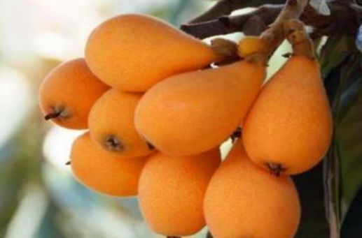 葡萄|每天坚持吃3种食物,排毒养颜、延缓衰老,身体棒棒哒!