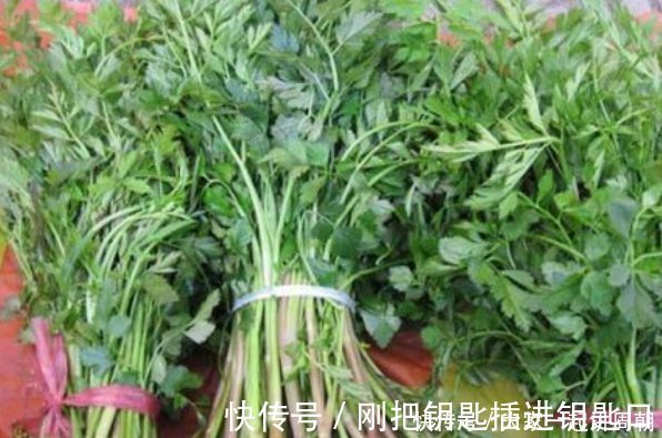 天然|天然养肝菜出现了,医生每天炒一盘,肝脏越来越健康