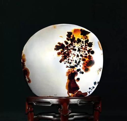 石头|这种石头堪比翡翠,五年时间升值万倍,随便一块可以换套房