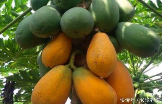 女人过40岁后,必吃的食物,滋润肌肤,促进代谢,看起来年轻十岁