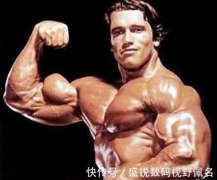 施瓦辛格|像阿诺德施瓦辛格这种健身用的肌肉,打击类格斗其实是不实用的