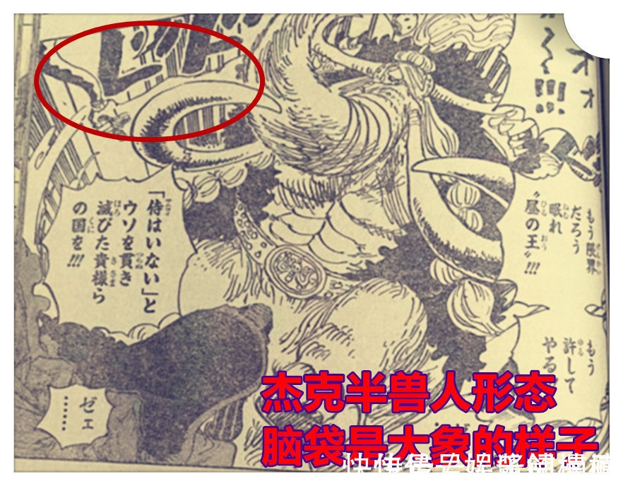 半獸人|海賊王1023話,開掛的犬嵐VS杰克半獸人形態,杰克被狠揍并流冷汗