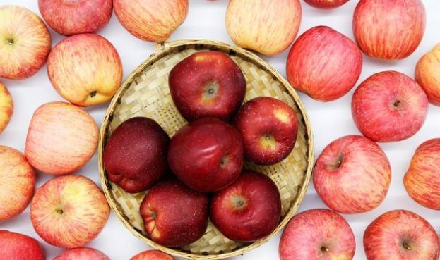 火龙果|长期便秘太痛苦?日常多吃这5种食物,帮助润肠通便