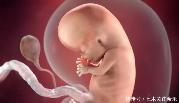 dh十月怀胎,胎儿啥时候开始“长肉”?早知道早准备,别拖胎儿后腿