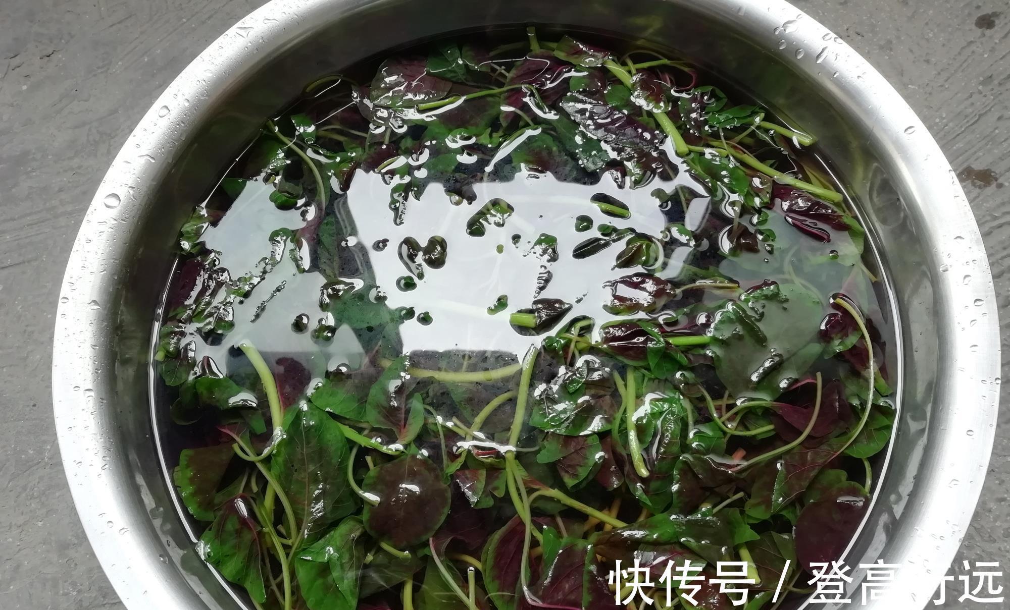 六月苋|7月,这菜金不换,我家每年囤20斤,放冰箱冻起来,特省事!