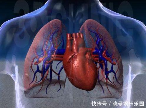 长寿方|走路是天然长寿方,不过年过55岁每天最好别超过规定步数