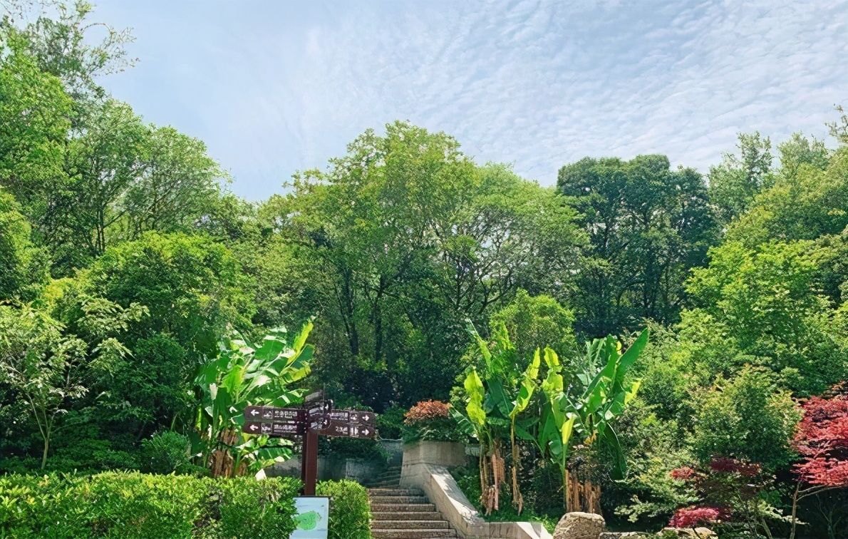 中年|合肥有个难得的湖上绿洲，登塔凭栏远眺，能见水天一色